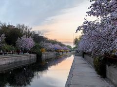 -海棠花溪(元大都城垣遗址公园)