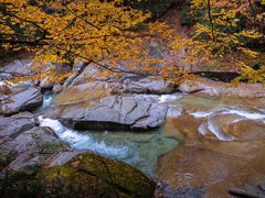 -光雾山旅游景区