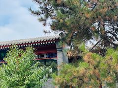 -北京鲁迅博物馆(北京新文化运动纪念馆鲁博馆区)