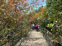 -香山公园