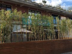 -BlueBubble蓝泡泡婴幼儿游泳会所(合川路店)
