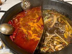 -朱光玉火锅馆(正弘城店)