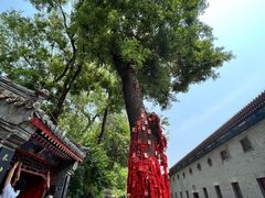 -恭王府博物馆