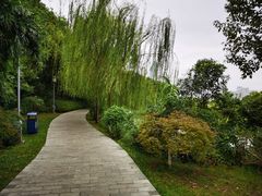 -月湖风景区