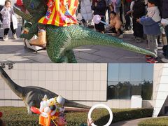 -中国西峡恐龙遗迹园