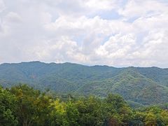 -雁南飞茶田景区