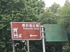 -上海醉白池公园