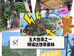 -呀诺达热带雨林