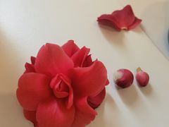 -必胜客(WOW昙华林店)