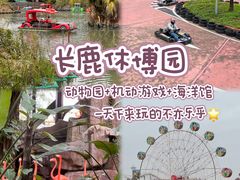 -长鹿旅游休博园