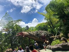 -奥兰多迪士尼动物王国乐园