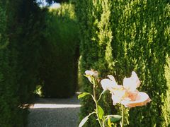 -阿尔罕布拉宫