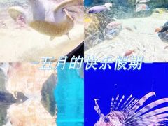 -江和美海洋公园