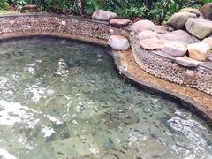 -三亚珠江南田温泉度假区