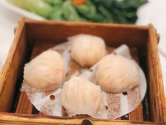 金翠虾饺皇-金翠皇宫粤菜·点心·海鲜(科技园店)