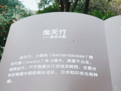 -南山植物园