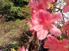 -苏州上方山国家森林公园