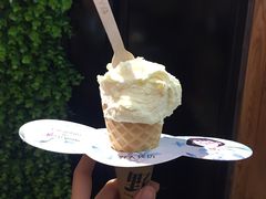 -野人先生现做冰淇淋(西安赛格店)
