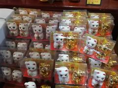 -猫咪博物馆(顶澳仔猫街店)