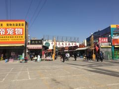 -中环花鸟鱼虫市场