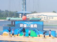 -秦皇岛乐岛海洋王国