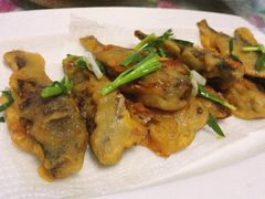 -阿姨来了月嫂服务中心(徐汇店)