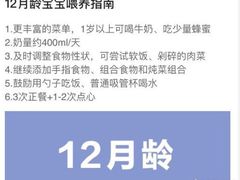 -大班家政月嫂育儿嫂(总部店)