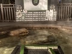 -天目湖涵田度假村