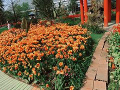 -南山植物园