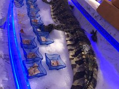 -澜悦港海鲜体验主题餐厅