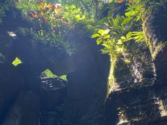 -梭布垭石林景区