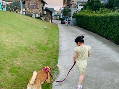 -乌石塘景区