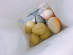 -Pierre Marcolini(德基广场店)