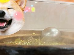 -洪大厨鸡煲(福田店)