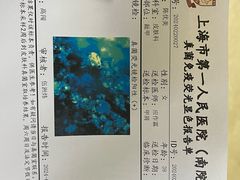-上海市第一人民医院(松江南部)