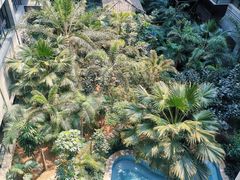 -黑龙江中医药大学附属第一医院