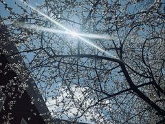 -吉林大学(南岭校区)