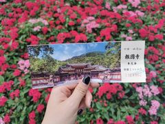 -峨眉山报国寺