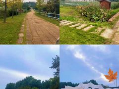 -梁子湖东篱老屋生态庄园