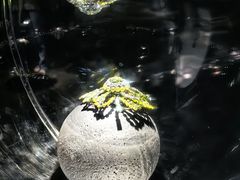 -上海宝龙美术馆