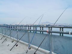 -海堤纪念公园