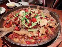 -老板恋上鱼(高新万达店)