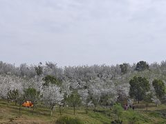 -宜兴龙背山森林公园