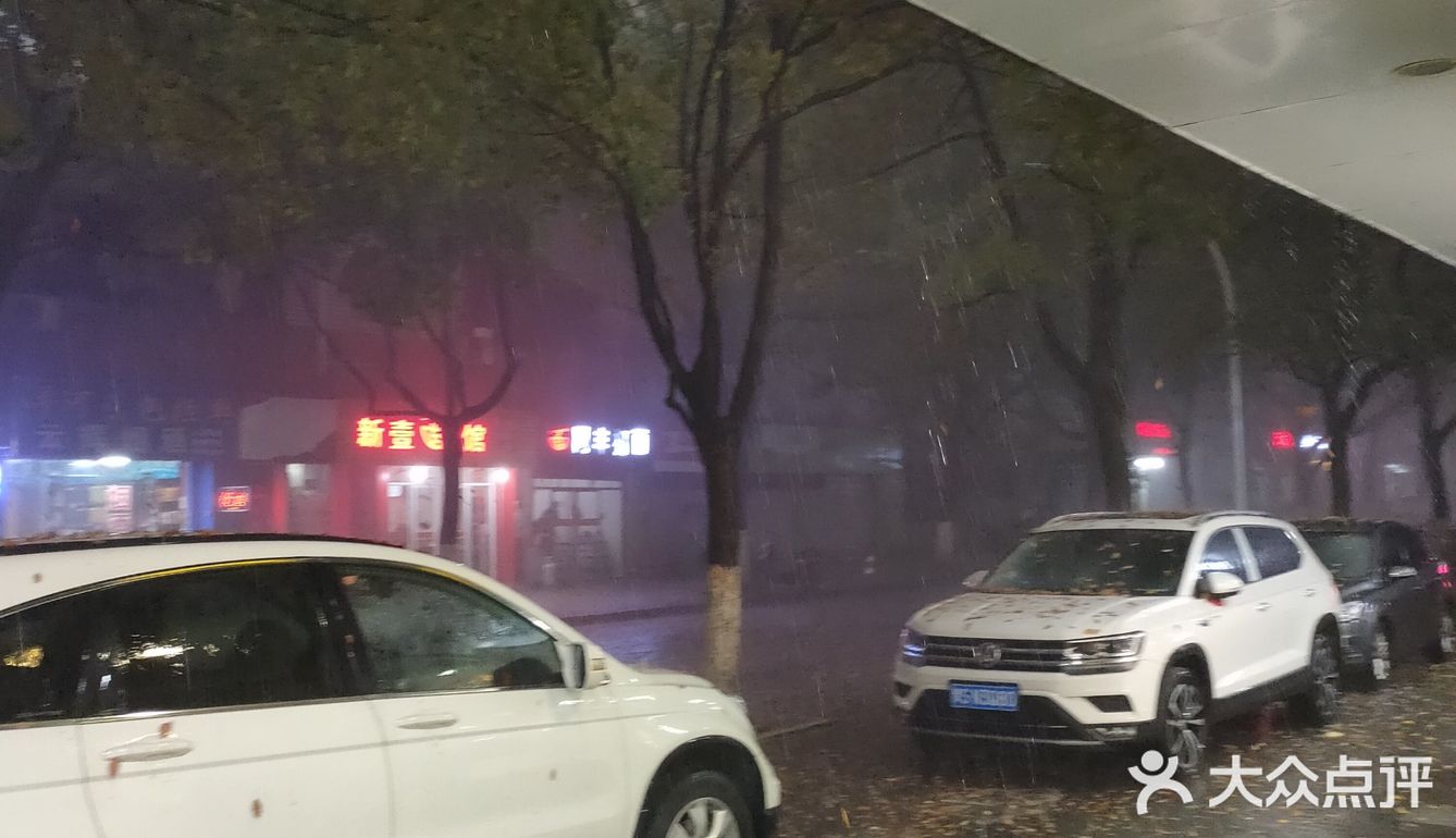 香樟树的落叶哗哗哗哗地被雨滴打了下来