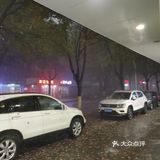 香樟树的落叶哗哗哗哗地被雨滴打了下来