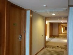 -上海浦东康桥绿地假日酒店