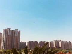-上海跨国采购会展中心