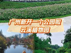 -云溪植物园