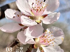 -北京奥林匹克公园
