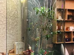-Infica Coffee